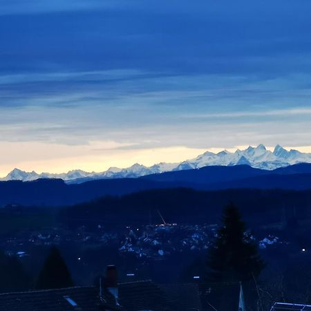 شقة Alpenpanorama Haegelberg ستينن المظهر الخارجي الصورة